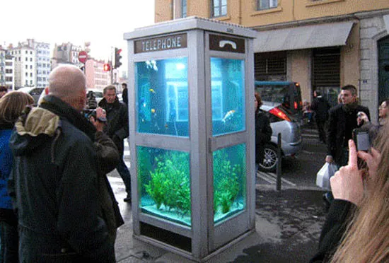 aquarium_phone_booth_front3