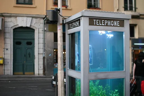 aquarium_phone_booth01